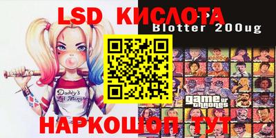 СК Кимры