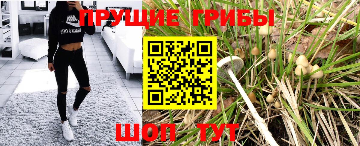 Моршанск  Галлюциногенные грибы GOLDEN TEACHER  Вход с VPN  Псилоцибиновые грибы GOLDEN TEACHER 
